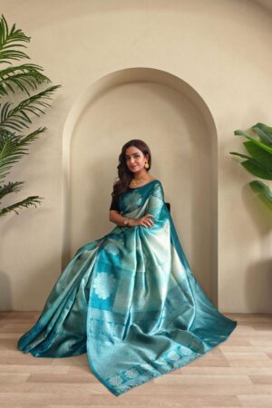 Model wearing Premium Printed Silk Weaving Saree with Silver Zari