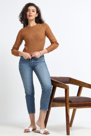 ankle length stretchable blue pencil jeans