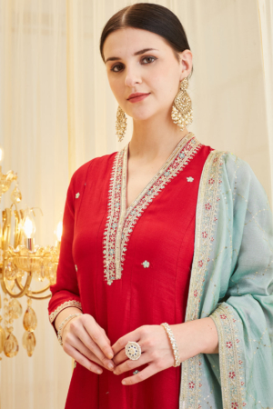 Full length view of flowy ankle length Anarkali suit for festive occasions.