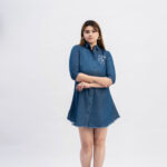 Premium Denim Embroidered Button-Down Shirt Dress